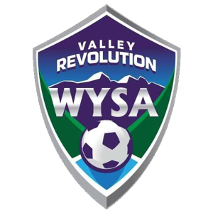 WYSA-Valley_Rev_Logo_copy_medium.png