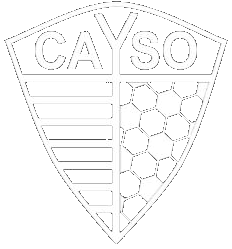 CAYSO-logo-newi.png