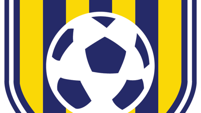 DYSA_Logo_PMS.png