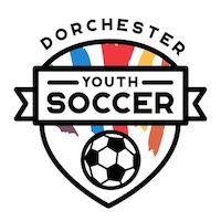 DYS_Logo_3.jpeg
