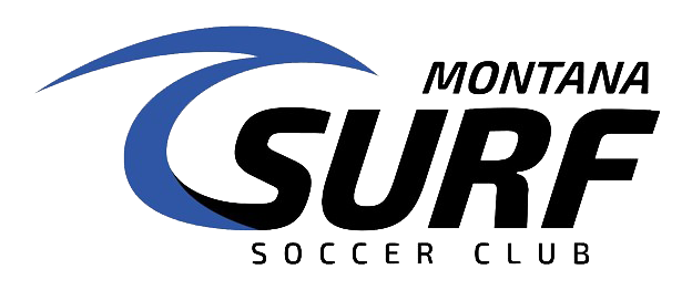 MSSC-logo-horizontal-1.png