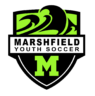 MYS_Full_Color_Black_White_LizardNeonGreen-1-e1653490033603.png