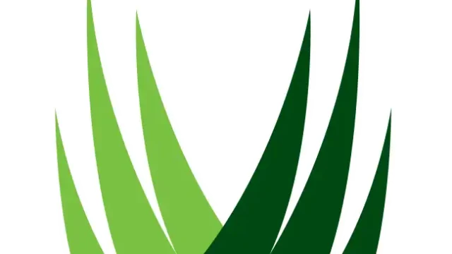 SL-Icon-w-Outline.webp