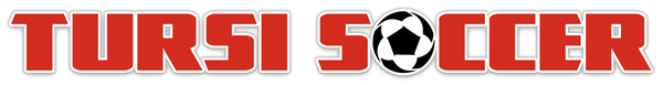 TS_LOGO_3_DS_TRAN3.png