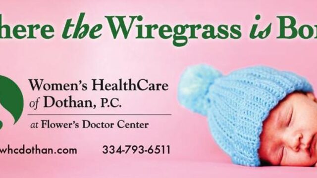 WCD-3__3__logo_with_baby_large.jpg