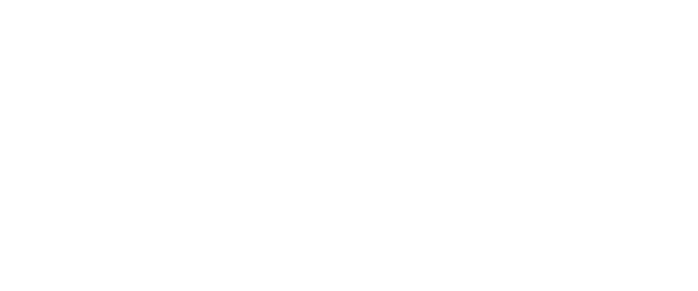 Web_LogoAoF.png