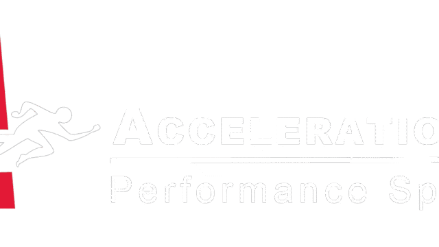 accelindylogo.png