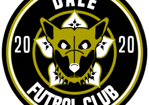 cropped-Dale-Fc-Logo-1024-x-1024-1.png