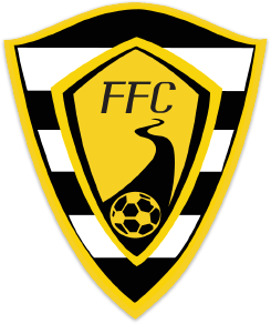 flushing-football-club_orig.png