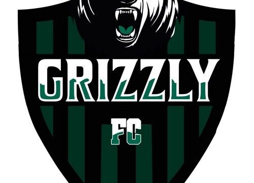 grizzlylogo-500×410-1.jpg