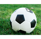 logo637875458493496193.png