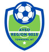 logo638285488973495587.png