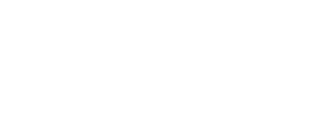sts_logo_linear.webp