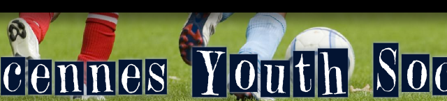 vysa_logo.png